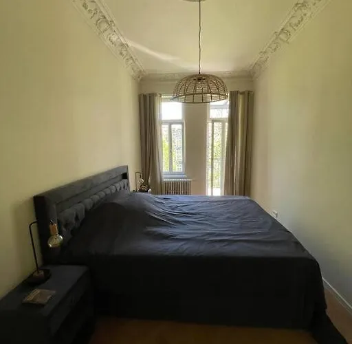 Ruhige&charmante Altbauwohnung Appartement Leipzig